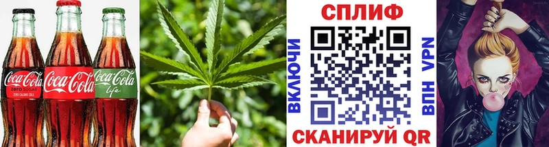 ссылка на мегу сайт  Шахунья  Cannafood конопля  купить наркотик 